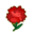 Red Carnations CF Icon.png