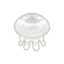 sparkly jellyfish