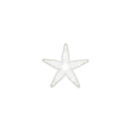 White Starfish PC Icon.png