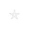 White Starfish PC Icon.png