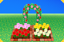 AF Feature Rose Garden.png