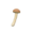 Mushroom Wand (Ordinary Mushroom) NH Icon.png
