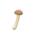 Mushroom wand's Ordinary mushroom variant