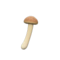Mushroom Wand (Ordinary Mushroom) NH Icon.png