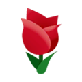 Red Tulips PC Icon.png