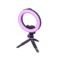 Ring Light (Purple) NH Icon.png