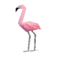 Mr. Flamingo WW Model.png