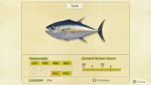 NH Critterpedia Tuna Northern Hemisphere.jpg