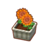 Potted O. Sunflowers PC Icon.png
