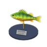 yellow perch model