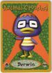 Derwin