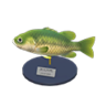 black bass model