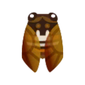 Brown Cicada PC Icon.png