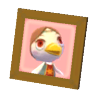 Medli's pic