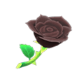 Black Roses NH Icon.png