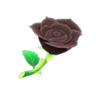 black roses