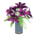 Casablanca Lilies's Purple variant