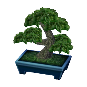 Pine Bonsai NL Model.png