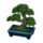 Pine Bonsai NL Model.png