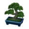 Pine Bonsai NL Model.png