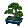 Pine Bonsai NL Model.png