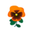Coral Pansies PC Icon.png