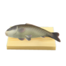 carp on a cutting board