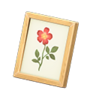 framed photo
