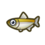 Pond smelt