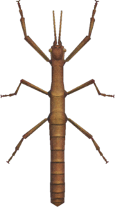 In-game image of walking stick