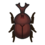 horned dynastid