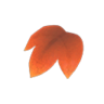 maple leaf