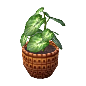 Caladium NL Model.png