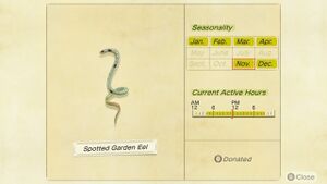 NH Critterpedia Spotted Garden Eel Southern Hemisphere.jpg