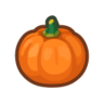 orange pumpkin