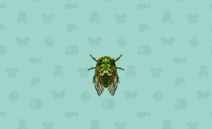 Robust Cicada PC.png