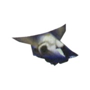 Cow Skull e+.png