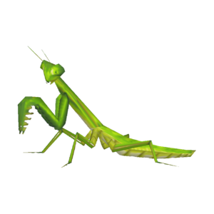 Mantis CF Model.png