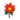 Red Poinsettia PC Icon.png