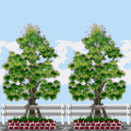 Tree-Lined Wall PG Texture.png