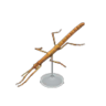 walking stick model