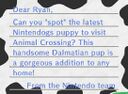 CF Letter Nintendo Dalmatian Model.jpg