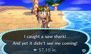 Caught Saw Shark NL.jpg