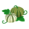 Green Harvest Squash PC Icon.png