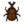 Horned Dynastid NL Icon.png