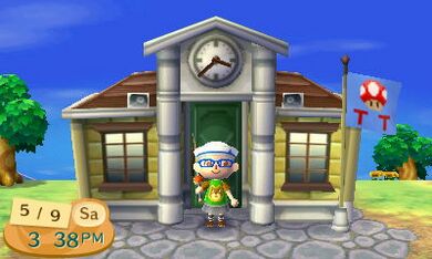 Toadtown Town Hall.jpg