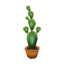 Cactus WW Model.png