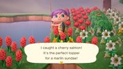 Cherry salmon/Gallery - Animal Crossing Wiki - Nookipedia