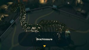 NH Brachiosaurus Museum.jpg