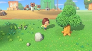Nintendo Music ACNH Island Life Orientation 1.jpg